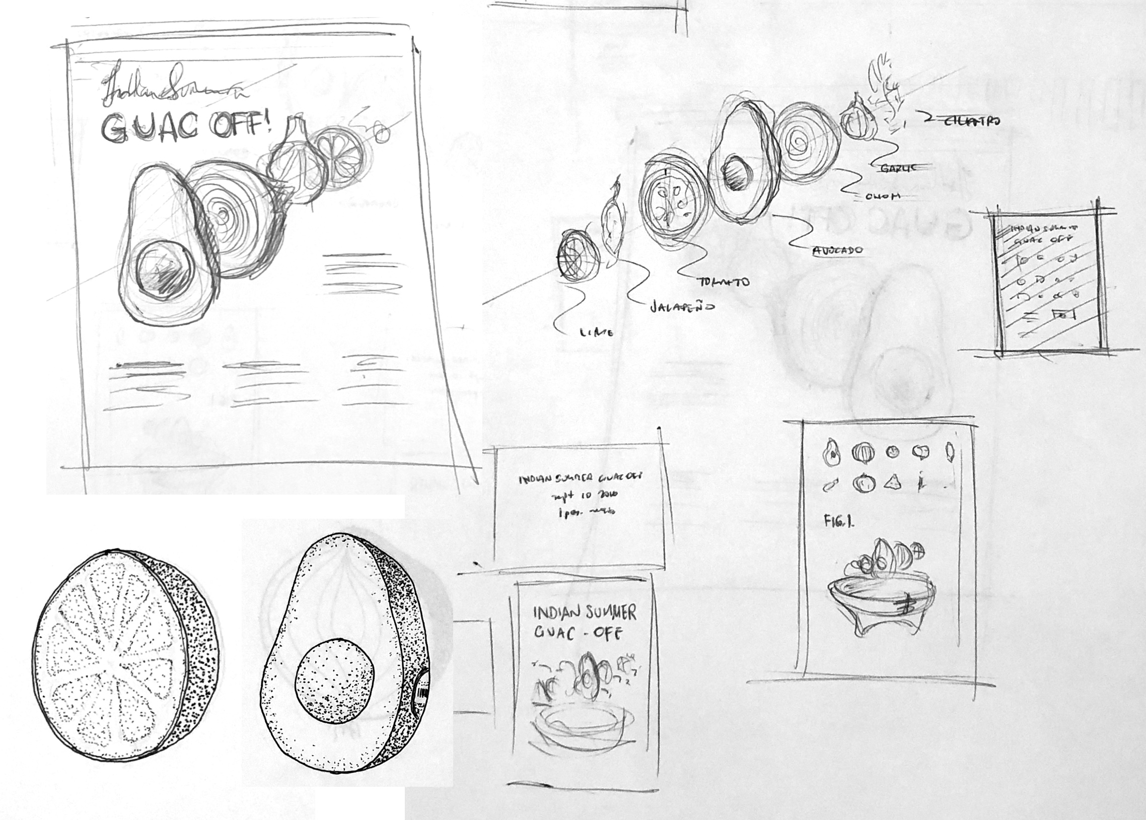 guac site 2016 sketchs